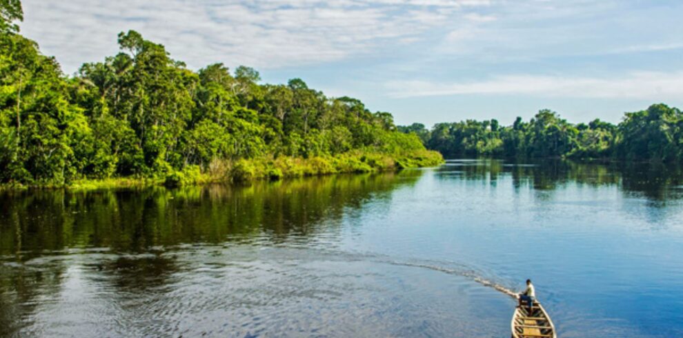 amazonas